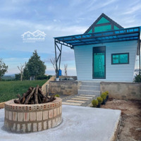 Cần Bán Gấp! Đất View Đồi Chill Tại Di Linh Gần Cao Tốc, Giá Siêu Tốt! Gía Chỉ Từ: 286 Triệu