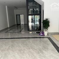 Chính chủ cần cho thuê tầng 1 + tầng 2 căn liền kề thuộc phố đi bộ Canaby – Khu Rue De Charm- ngõ 214 Nguyễn Xiển.