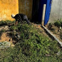Full Thổ 106M2 Trực Diện Biển Chỉ 990 Triệu Cực Đẹp Phú Hòa, Mỹ Đức, Phù Mỹ, Bình Định