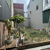 Bán 50M2 Đất Du Nội - Mai Lâm - Đông Giá Hơn 4Tỷ