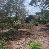 Cần Bán 2000M2 Đất Thuộc Thị Trấn Ngãi Giao. Huyện Châu Đức, Br - Vt Giá Bán 3.2 Tỷ