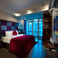Bán Nhà Mặt Phố Phùng Hưng, 65 Tỷ, 84M2, Dòng Tiền Tốt