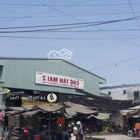 Bán Đất Gấp Mtđ Diên Nghệ, Biên Hoà, Đồng Nai, 75M2/ 450 Triệu, Shr, Gần Tiểu Học - Thcs Tam Phước