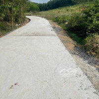 Cần Bán Gấp Lô Đất Đẹp Tại Diên Xuân, Diên Khánh, Khánh Hòa. Diện Tích: 2000M2 Ngang 25M