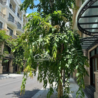 Cần Tiền Bán Gấp Căn Liền Kề 64 M2 Sổ Lâu Dài Mặt Tiền,Đảo Dừa Phân Khu Đóng Vip ,Cạnh Bể Bơi