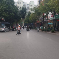 Vị Trí Tuyệt Vời , Ô Tô Dừng Đỗ Ngày Đêm , Vỉa Hè Rộng . Nhà Mặt Phố Trương Công Giai Sầm Uất