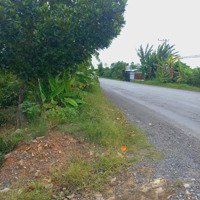 Bán Đất Thổ Cư Tặng Nhà Cấp 4, Siêu Hời, Tổngdiện Tíchhơn 3Ha4, Thổ Cư 1400M2