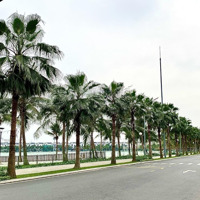 Bán Biệt Thự Đơn Lập Góc 2 Mặt Tiền - View Hồ 24,5Ha. Giá Mềm