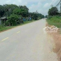 Đất Diện Tích Lớn Xây Trọ Ngay Chợ Đức Hòa, Hơn 300M2, Giá Chỉ Có 3 Triệu4/M2, Thổ Cư Toàn Phần