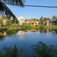 View Hồ - View Lúa Làng Rau Trà Quế, Thanh Hà