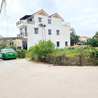 View Hồ - View Lúa Làng Rau Trà Quế, Thanh Hà