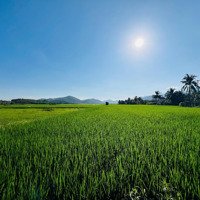 Bán Nhanh Đất Thổ Cư Bình Lộc, Ngang Gần 7M, Sổ Đỏ Sẵn, Giá Cực Kì Tốt