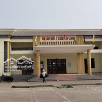 Siêu Phẩm Đài Bi Uy Nỗ, Xung Quanh Rất Nhiều Quán Bia Tươi