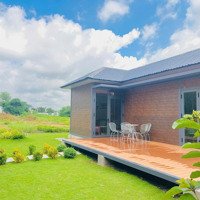 Đất Đẹp, Khu Dân Cư Yên Tĩnh, Sinh Lời Cao, Ở Đồng Phú, Bình Phước
