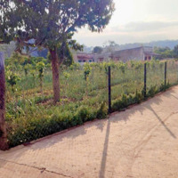 Bán Đất N''thol Hạ, Đức Trọng, Lâm Đồng, 1,8 Tỷ, 500M2