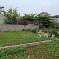 Bán Đấtdiện Tích51.9M2 Giá Thỏa Thuận 0914431409 Tại Thị Trấn Quang Minh, Mê Linh, Hà Nội