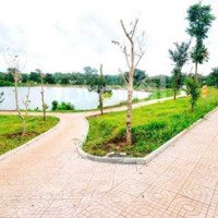 Chỉ Cần Thanh Toán 200 Triệu Sở Hữu Ngay Lô Đất. Bán Lô Đấtmặt Tiềnđường Ql19, Quy Nhơn, Diện Tích: 80M² (5X16M)