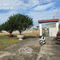 Cho Thuê Đất Trồng Cây Lâu Năm Có Nhà Thổ Cư Phường An Phú Đông, Quận 12