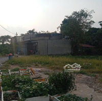 Đất Ngay Chợ Vĩnh Lộc Huyện Bình Chính Hồ Chí Minh