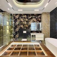 Bán Siêu Phẩm Nhà Phố Đường Lê Văn Thọ, Phường 11, Quận Gò vấp, Hồ chí Minh