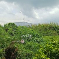Chủ Định Cư Bán Lô Nguyễn Thiện Thành Gần Ubnd Xã Hòa Thuận, Châu Thành, Trà Vinh.diện Tích120M2/ 500 Triệu
