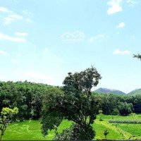 Tôi Là Chính Chủ Cần Bán Đất Xây Villa Tại Ngọc Thanh, Phúc Yên, Vĩnh Phúc