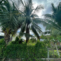 Bán Lỗ Chỉ Hơn 7 Triệu/M Lô Đất Đẹp Tại Diên Khánh, Đường Ô Tô 6M, Xây Nhà Ở Hoặc Đầu Tư