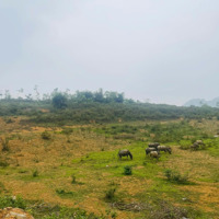 Siêu Phẩm Bãi Dài 1.1Ha 800M2 Ont Bám Suối Và Bám Đường Dài Giá Đầu Tư