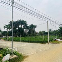 Ra Hàng Lô Đất Đẹp Nghi Liên (Tp Vinh) Đường Rộng 2 Xe Tránh Nhau Thông Thoáng