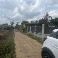 Bán Nền Đất Thổ Cư Sổ Riêng 282M2 ( 6M X 47M) Đường Ô Tô, Ngay Chợ Lang Minh, Xuân Lộc, Đồng Nai