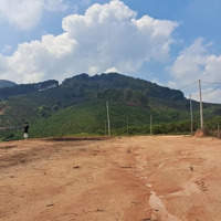 Bán Đất Tại Phi Tô, Lâm Hà, Lâm Đồng, Giá Cực Chất 2,58 Tỷ, 6913 M2
