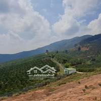Bán Đất Tại Phi Tô, Lâm Hà, Lâm Đồng, Giá Cực Chất 2,58 Tỷ, 6913 M2