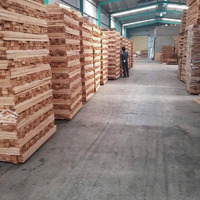 Xưởng Củ Chi, 1000M2, Giá Bán 15 Triệu/Tháng, Đường Công 24/24, Điện Ba Pha