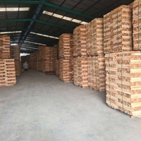 Xưởng Củ Chi, 1000M2, Giá Bán 15 Triệu/Tháng, Đường Công 24/24, Điện Ba Pha