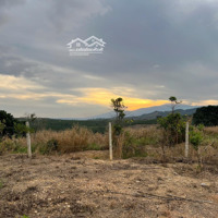 Bán Đất Tại Quốc Lộ 20, Ninh Gia, Đức Trọng, Lâm Đồng, 10,468 Tỷ, 4172M2