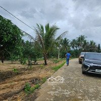 Bán Lô Đất 555M2 - Tại Suối Tiên - Diên Khánh - Đất View Hồ Tuyệt Đẹp - Có Sẵn Vườn Cây