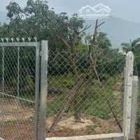 Bán Lô Đất 555M2 - Tại Suối Tiên - Diên Khánh - Đất View Hồ Tuyệt Đẹp - Có Sẵn Vườn Cây