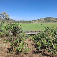 Cần Bán Một Lô Đất View Bao Đẹp, Đồi Núi, Ruộng Lúa. Khu Dân Cư