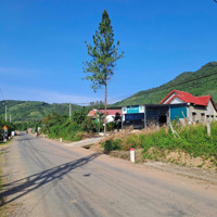 Bán Nhà Đất 2 Mặt Tiền Hương Lộ 62, Diện Tích 445M2 Ngay Nhà Thờ Diên Tân