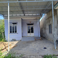 Bán Nhà Đất 2 Mặt Tiền Hương Lộ 62, Diện Tích 445M2 Ngay Nhà Thờ Diên Tân