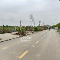Đất Đấu Giá - Lô Góc 3 Mặt Thoáng Siêu Đẹp - Đường Oto Tránh Vỉa Hè - View Tương Lai Là Khu Đô Thị