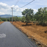 Bán Đất Xã Lộc An - Bảo Lâm - Lâm Đồng Sẵn 1000M2 Đã Tách 7 Sổ