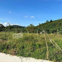 Cần Bán Gấp Lớn Tại Lộc Thành -Bảo Lâm Sẵn Thổ Cư 200M