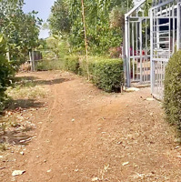 Sản Phẩm Nóng 1 Sào Ngộp Có 300M2 Thổ Cư Cách Ql1A 100M Ngay Motel Hai Nhái Giá Cực Kỳ Hấp Dẫn!