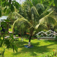 Bán Nhà Vườn Nghỉ Dưỡng 6500M2 ( Trong Đó Có 300M2 Thổ Cư ), Tại Xã Long Phước, Tp. Bà Rịa Vũng Tàu