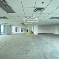 Cho Thuê Tòa Nhà Đường Cách Mạng Tháng Tám, P9, Q3. Dt: 20X20M. Hầm Trệt 8 Lầu Thang Máy