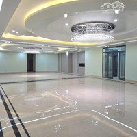 Bán Nhà Mặt Phố Hoàng Ngân 262M2 - 5 Tầng - Mặt Tiền 10M - Giá Chỉ 70 Tỷ - Xây Toà Nhà Tuyệt Đẹp