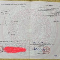 2 Lô Đất Đẹp Tại Tdp Hoàng Lâu, Hồng Phong, An Dương, Hp