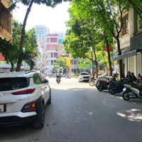 Bán Gấp Nhà Riêng 45M2, 11,2 Tỷ Tại Mễ Trì, Nam Từ Liêm, Hà Nội, Mặt Tiền 5M