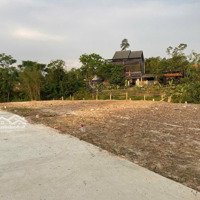 Cần Tiền Bán Nhanh 1333 M2 Đất Cho Ae Phân Lô Tách Thửa Tại Tp Huế